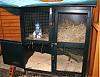 Click image for larger version

Name:	Rabbit hutch.jpg
Views:	597
Size:	32.5 KB
ID:	369